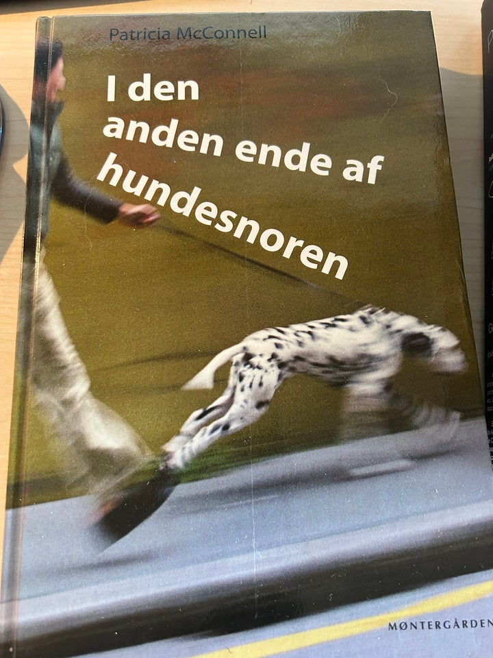 I den anden ende af hundesnoren,