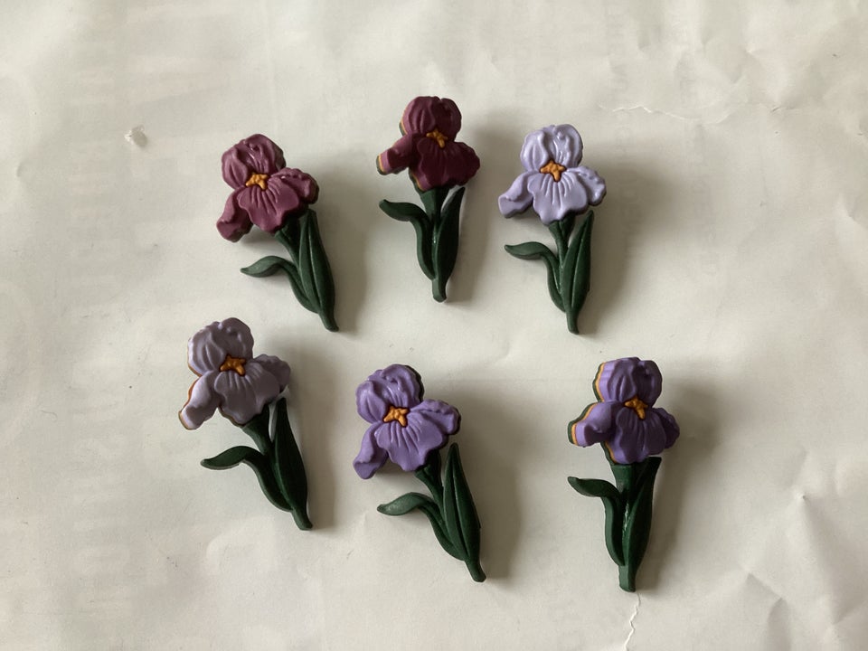 Knapper, Iris blomster