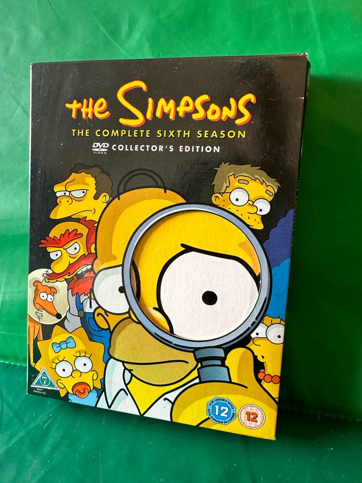 Simpsons sixth season, DVD,