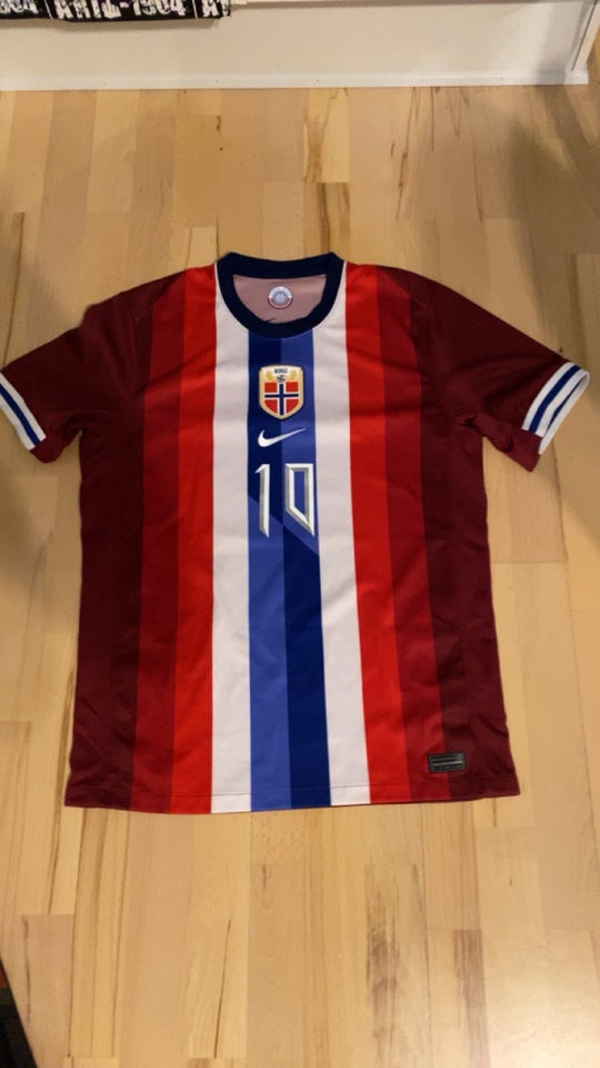 Fodboldtrøje Norge Nike