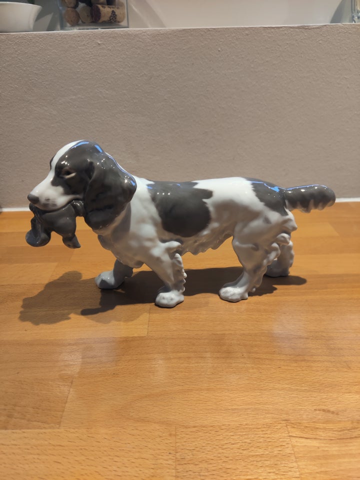 Cocker Spaniel BG nr 20