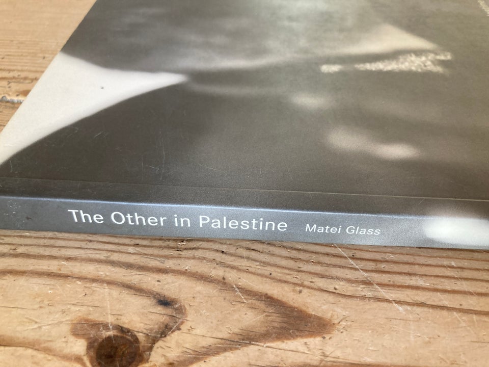 The other in palestine Matei