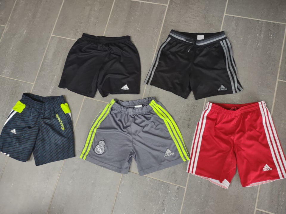 Shorts Sports shorts Adidas og