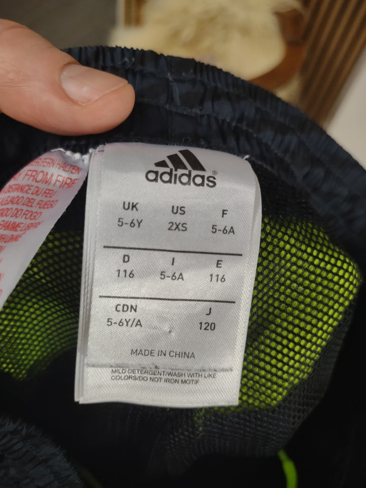 Shorts Sports shorts Adidas og