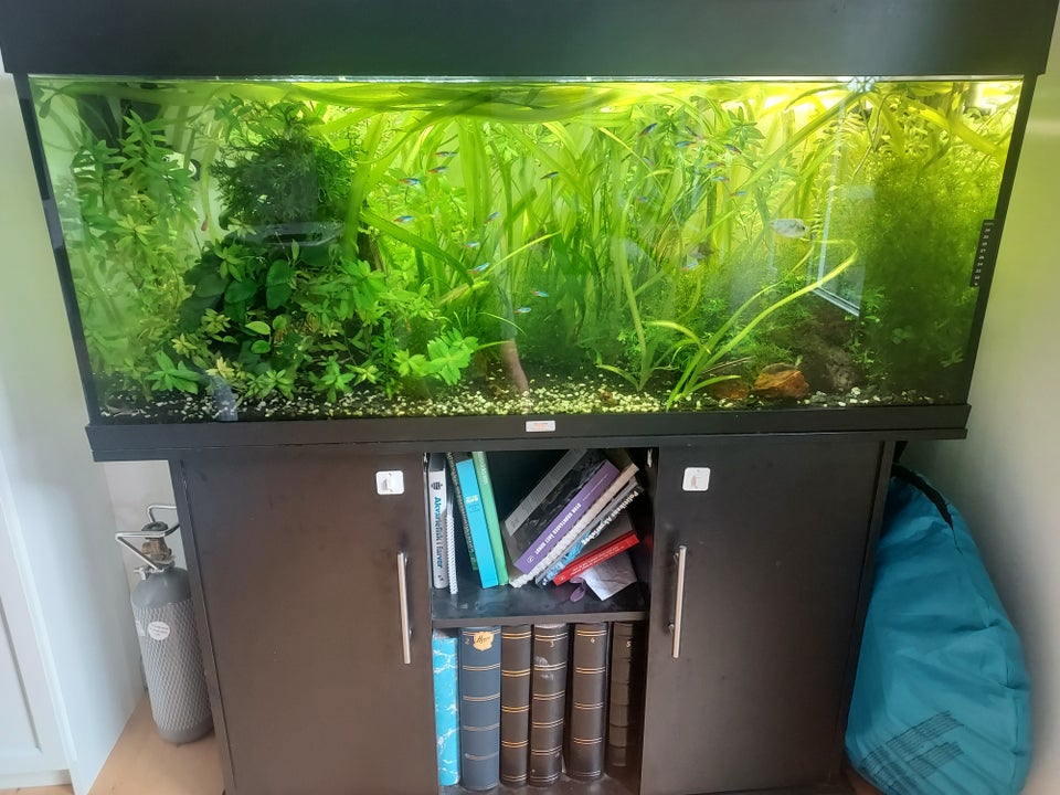 Akvarium 240 liter