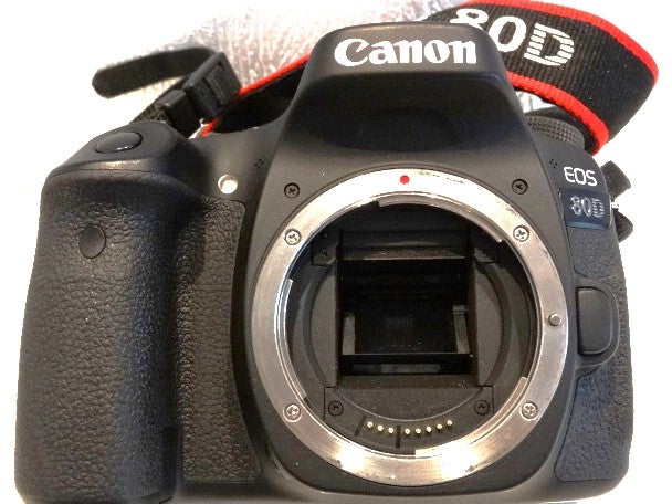 Canon, 80D, 24.2 megapixels