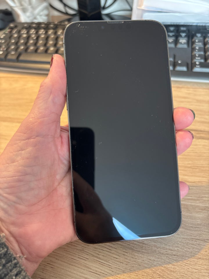 iPhone 13 Pro Max, 256 GB, grå