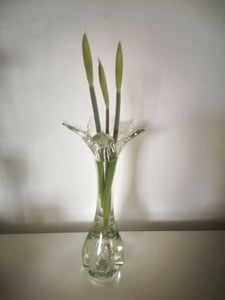 Glas Vase