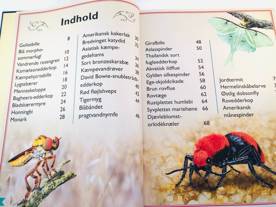 Den fantastiske bog om insekter og