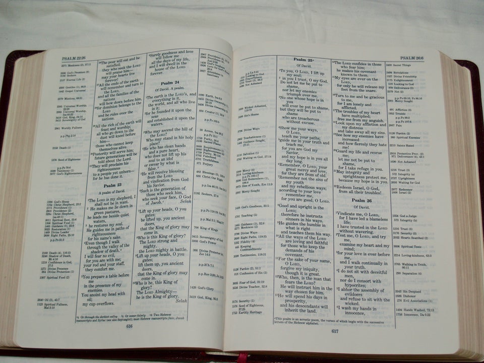 Thompson Chain, Study Bible