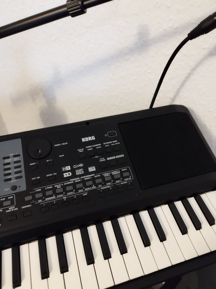 Keyboard, Korg Microarrenger