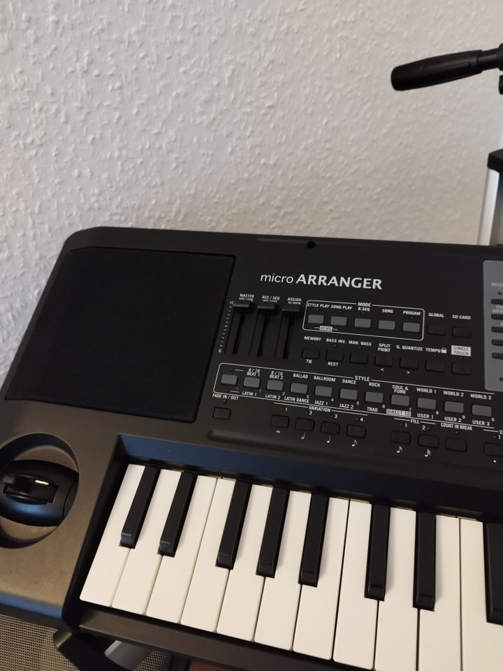 Keyboard, Korg Microarrenger