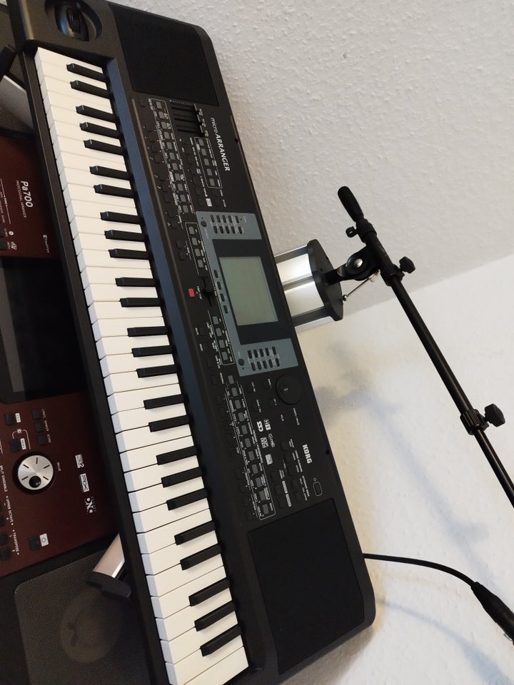 Keyboard, Korg Microarrenger