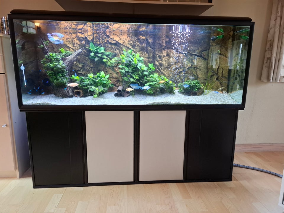 Akvarium, 530 liter, b: 150 d: 60 h: