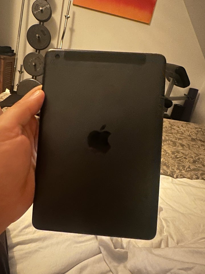 iPad mini, 16 GB, sort