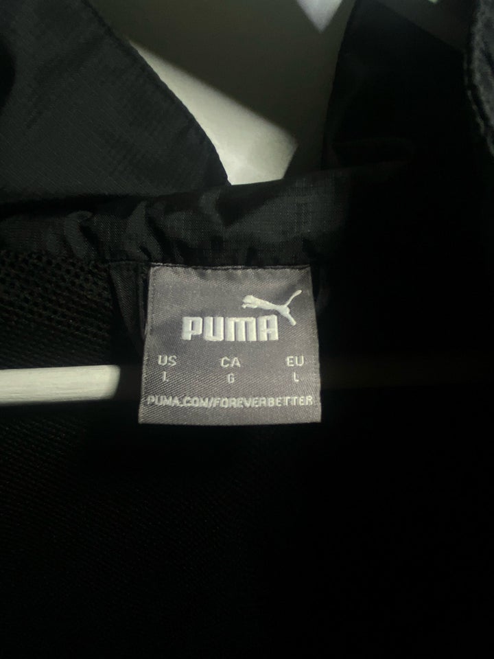 Andet, Puma, str. L