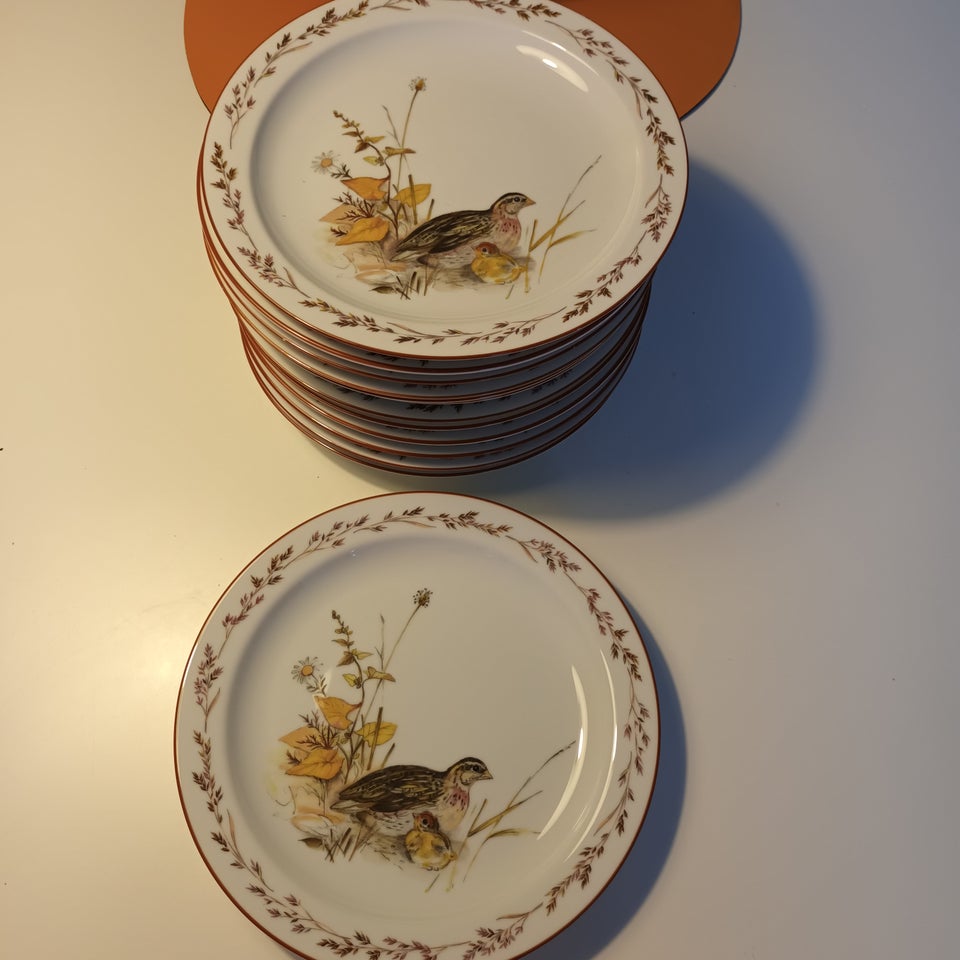 Porcelæn Tallerkener Mads stage