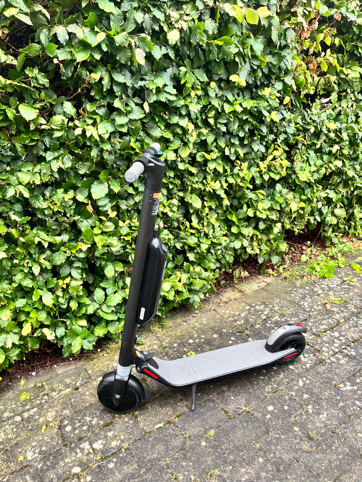 El løbehjul Ninebot Segway