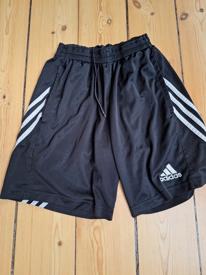 Shorts, Adidas shorts, Adidas