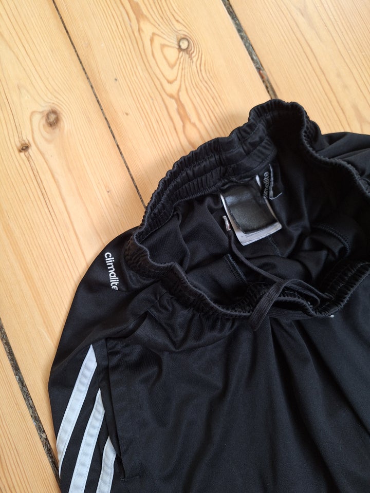 Shorts, Adidas shorts, Adidas