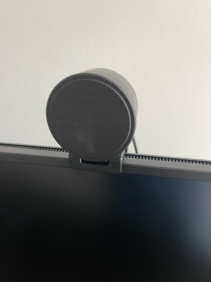 Webcam Razer Perfekt