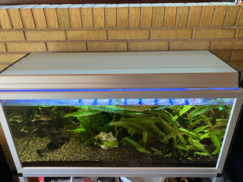 Akvarium 200 liter b: 100 d: 45 h: