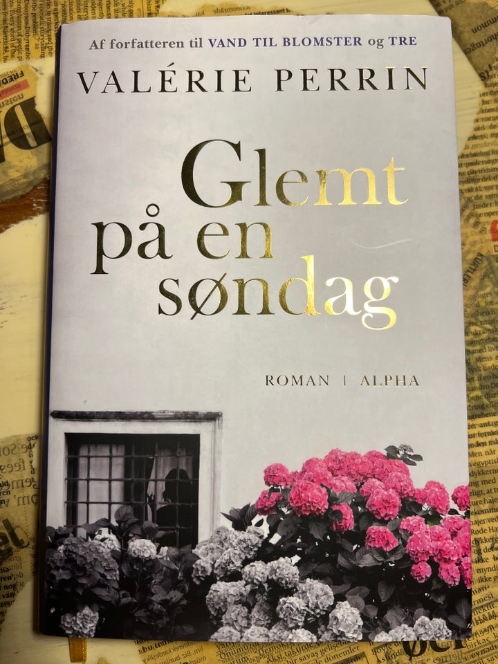 Glemt på en søndag, Valérie Perrin,