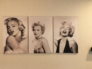 3 D panel Marlyn Monroe