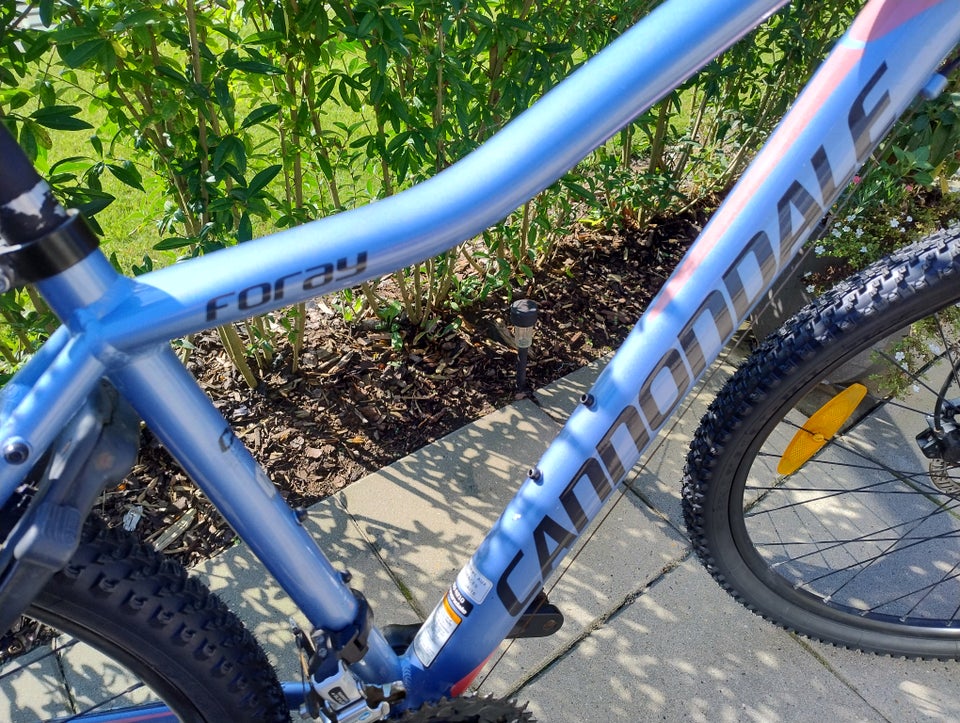 Cannondale hardtail 24 gear