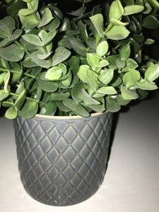 2 grå krukker med planter Ikea