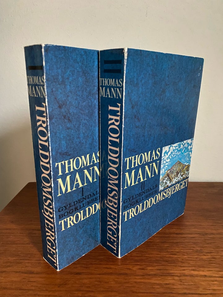 Trolddomsbjerget, Thomas Mann,