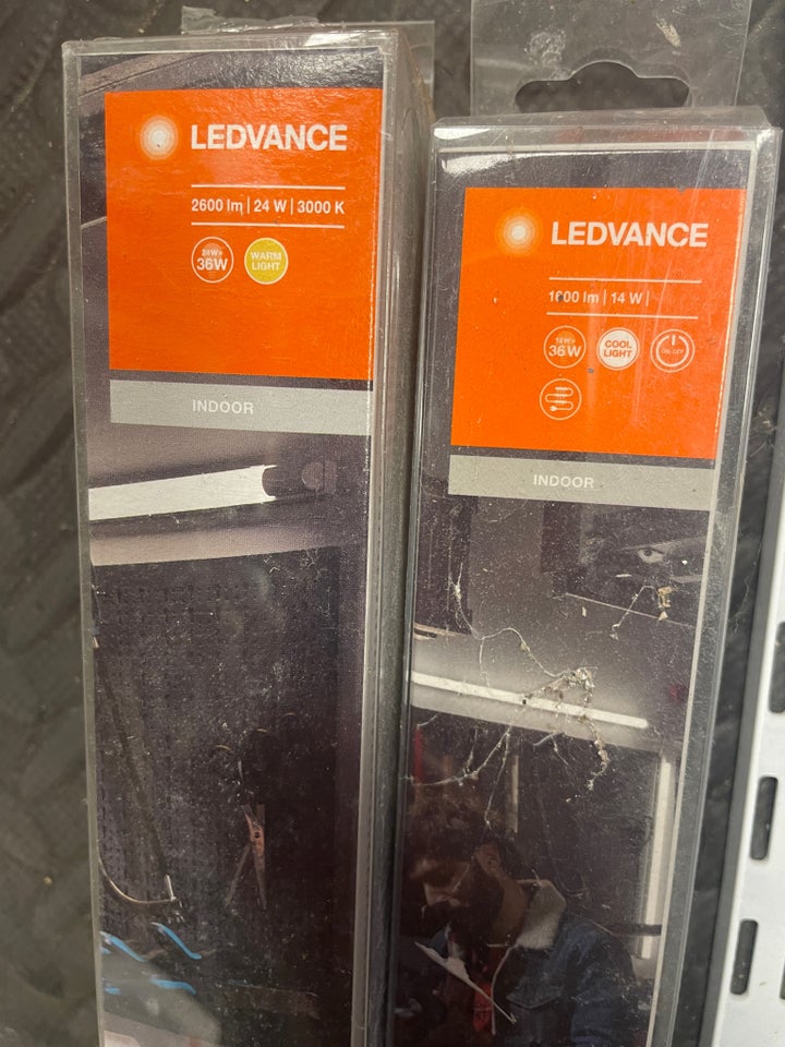 LED Ledvance LED LYS