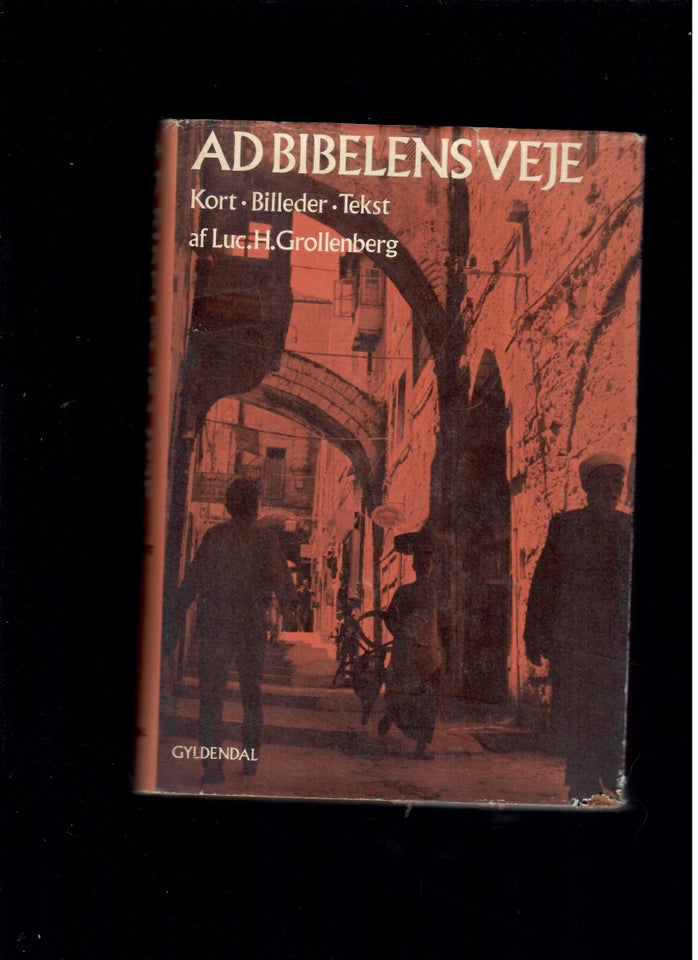 Ad bibelens veje, Luc. H.