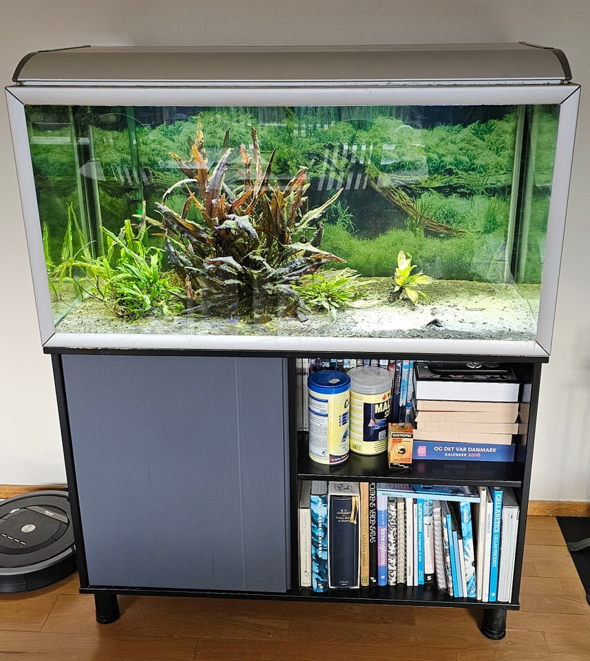 Akvarium 250 liter b: 100 d: 50 h: