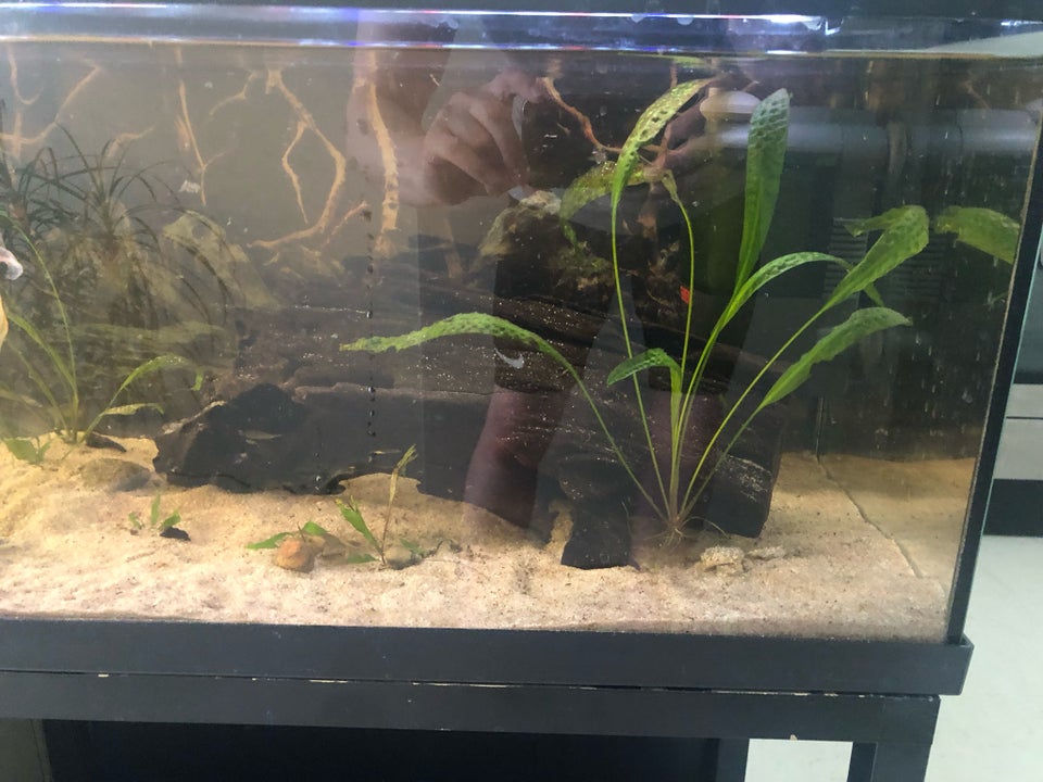 Akvarium 50 liter b: 60 d: 30 h: 30