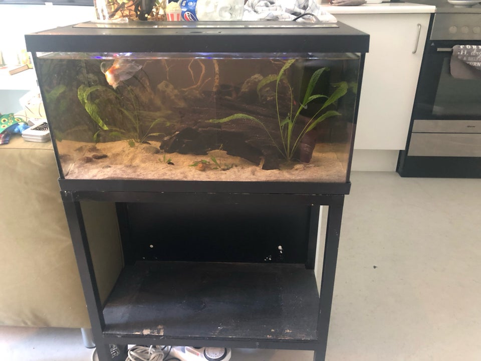 Akvarium 50 liter b: 60 d: 30 h: 30