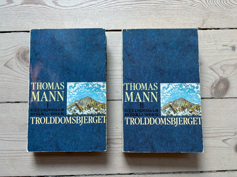 Trolddomsbjerget, Thomas Mann,