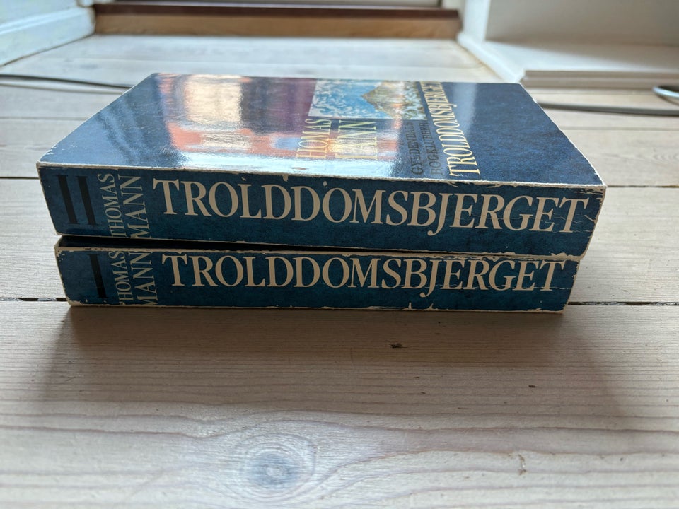 Trolddomsbjerget, Thomas Mann,