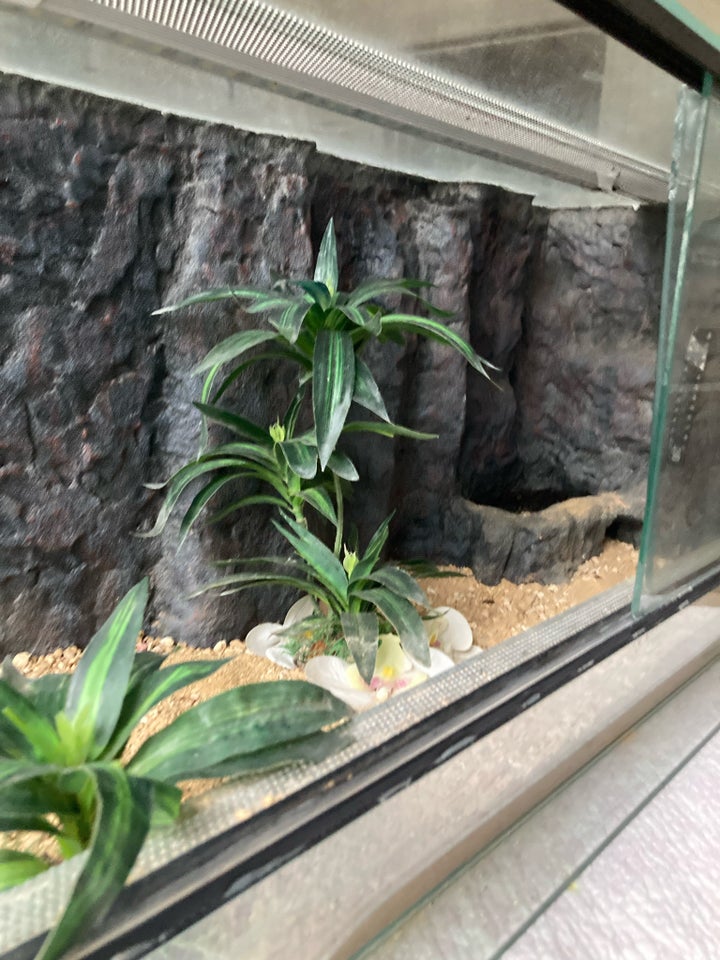 Terrarium, b: 80 d: 35 h: 40