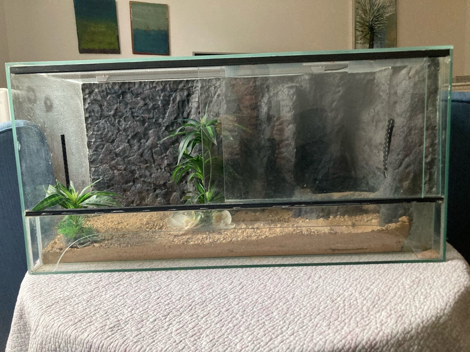 Terrarium, b: 80 d: 35 h: 40