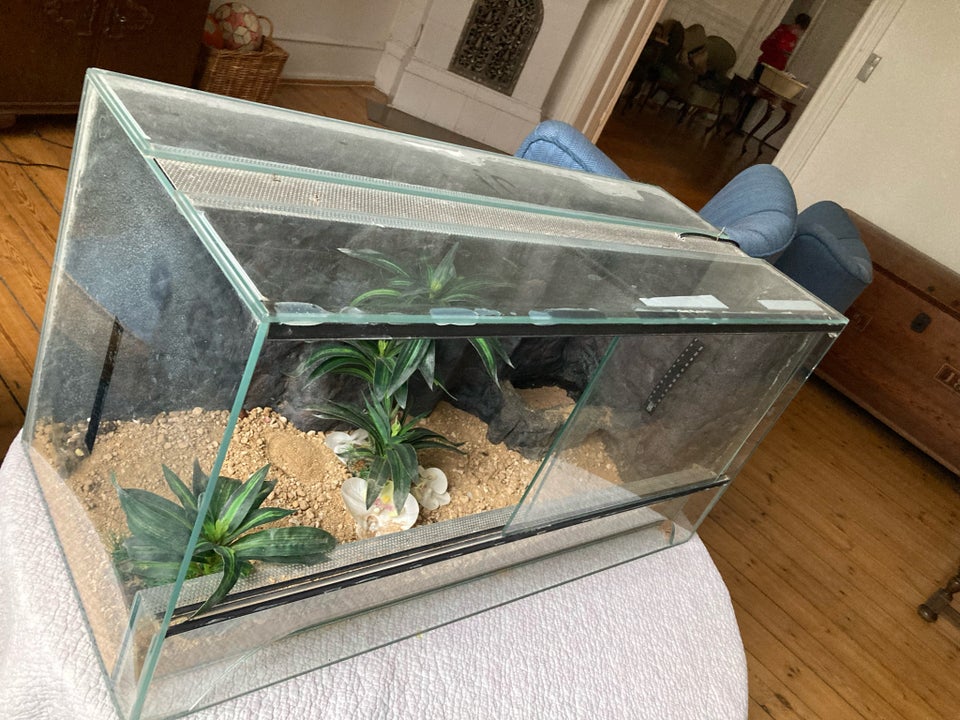 Terrarium, b: 80 d: 35 h: 40