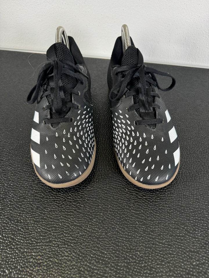 Indendørs sko Adidas Predator