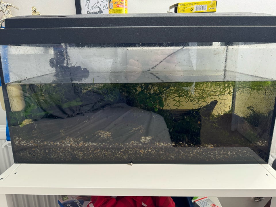 Akvarium 56 liter