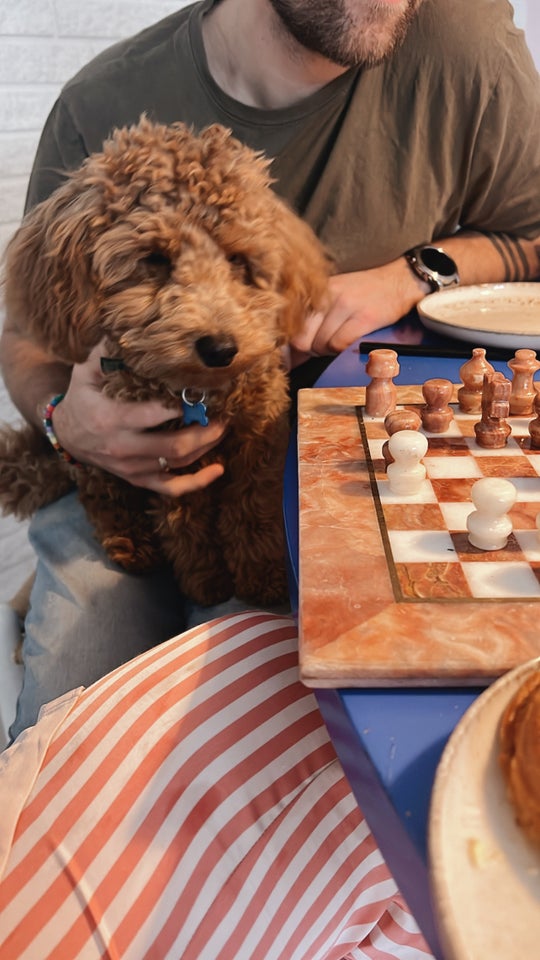 Dværg puddel - Parring, hund, 2 år