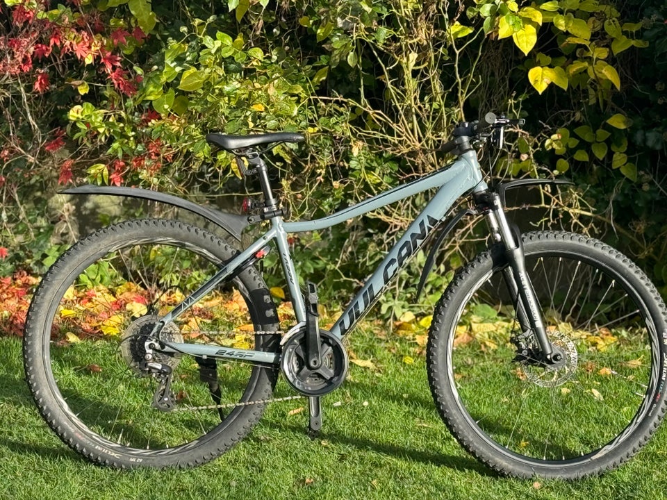 Mustang TX550, hardtail, 45 tommer