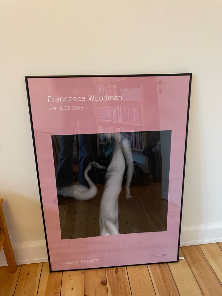 Plakat, Francesca Woodman, motiv: