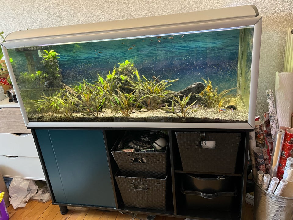 Akvarium, 325 liter, b: 130 d: 50 h: