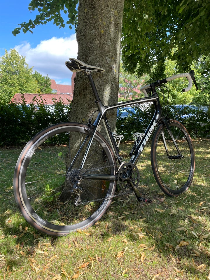 Herreracer Trek Madone 31 full