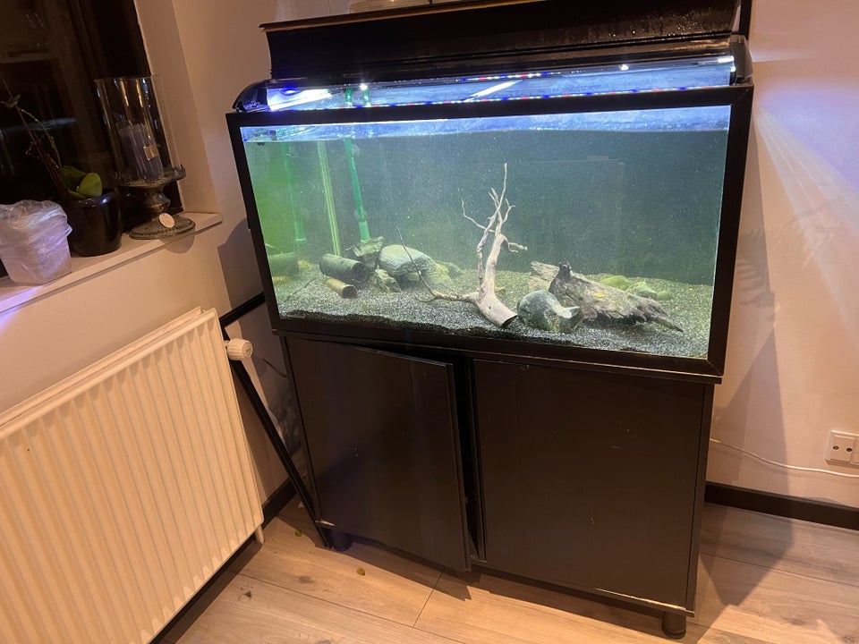 Akvarium, 250 liter, b: 100 d: 50 h: