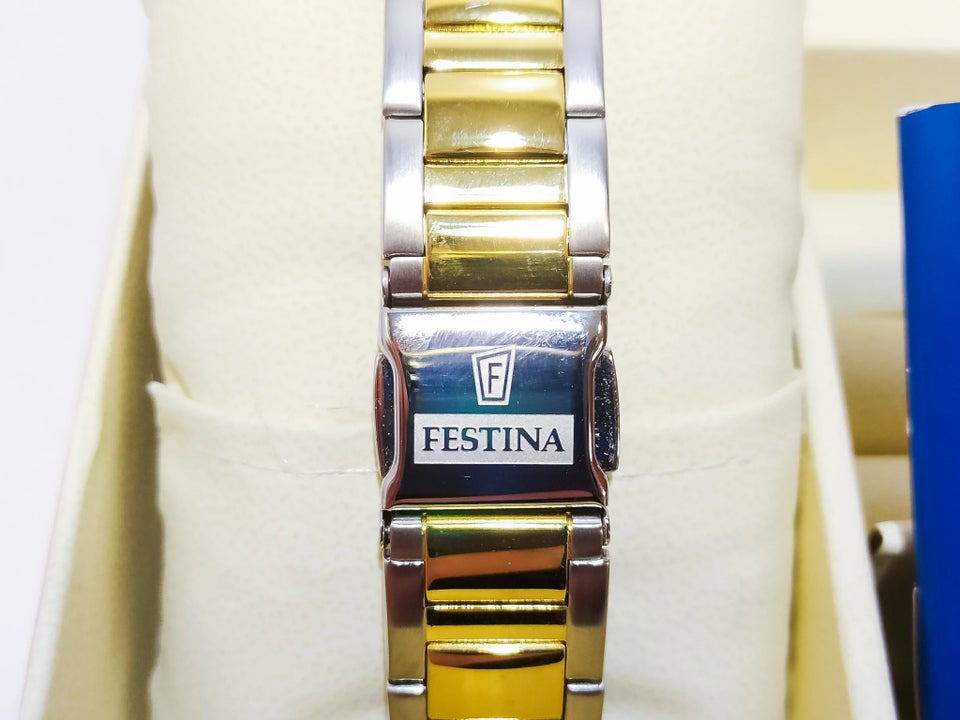 Dameur, Festina